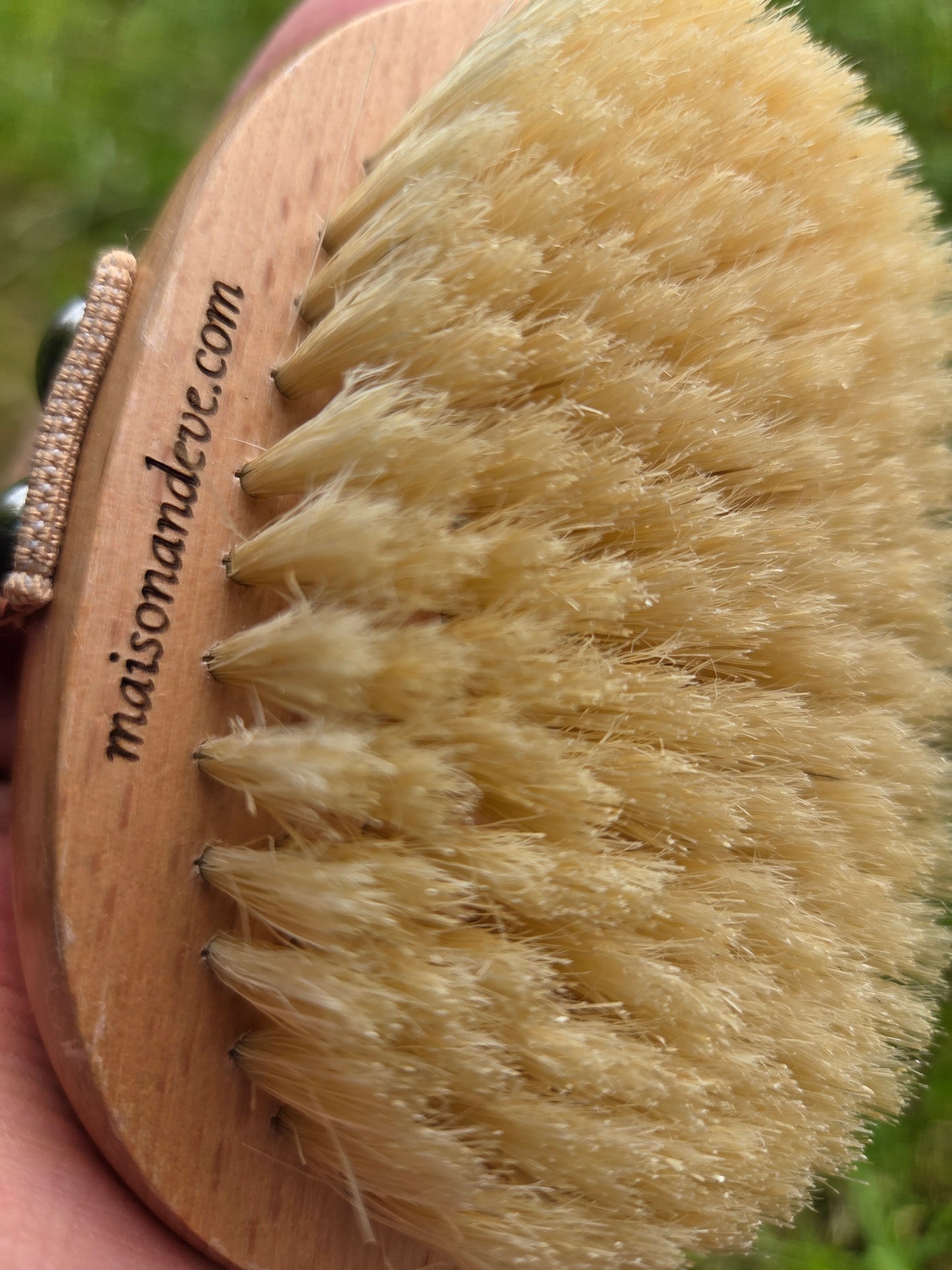 Close up of natural dry brush bristles showing texture and density for body exfoliation and skin stimulation