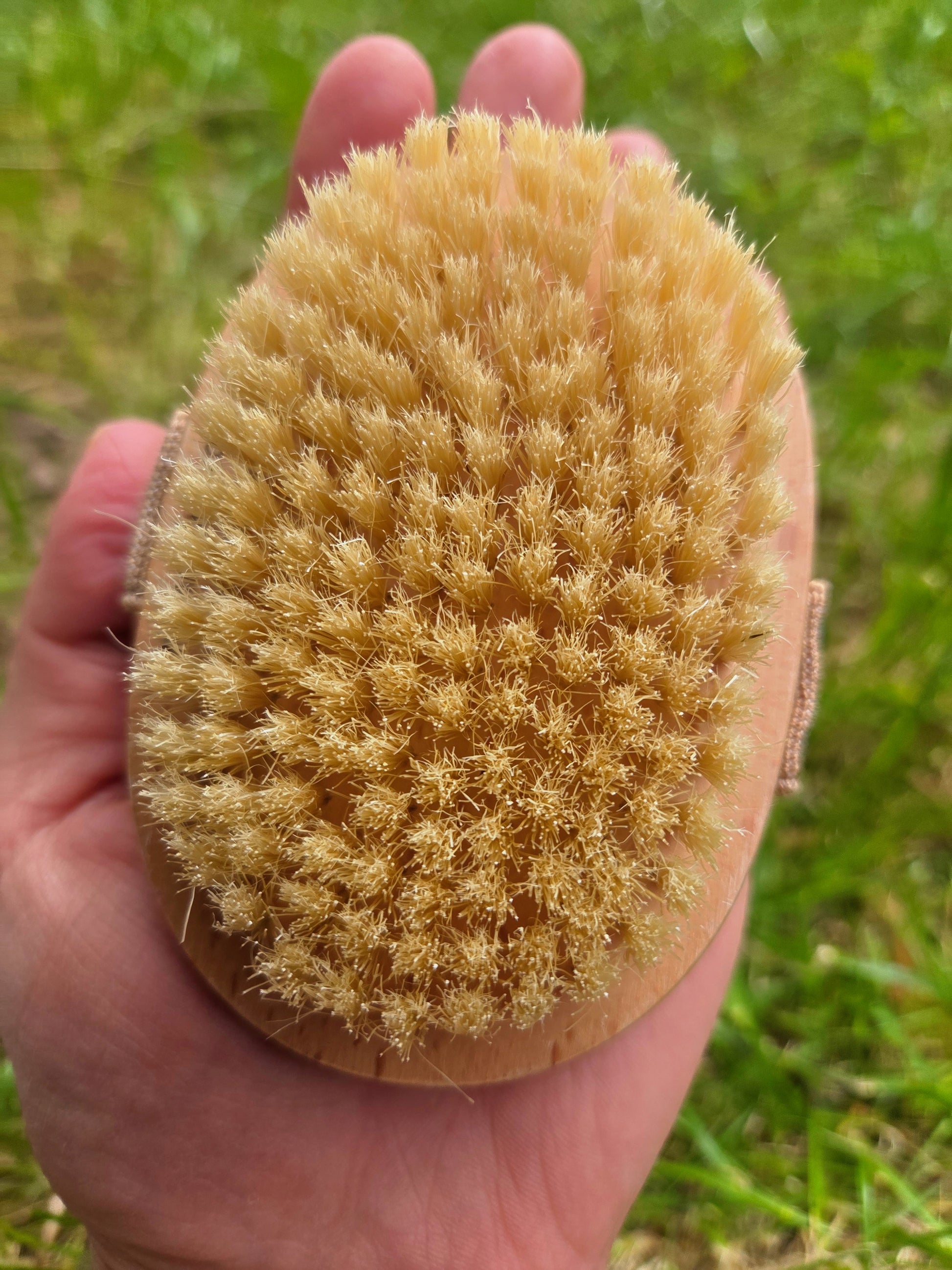 Close up of Maison Andeve wooden dry brush with natural bristles for exfoliation and dry brushing routine