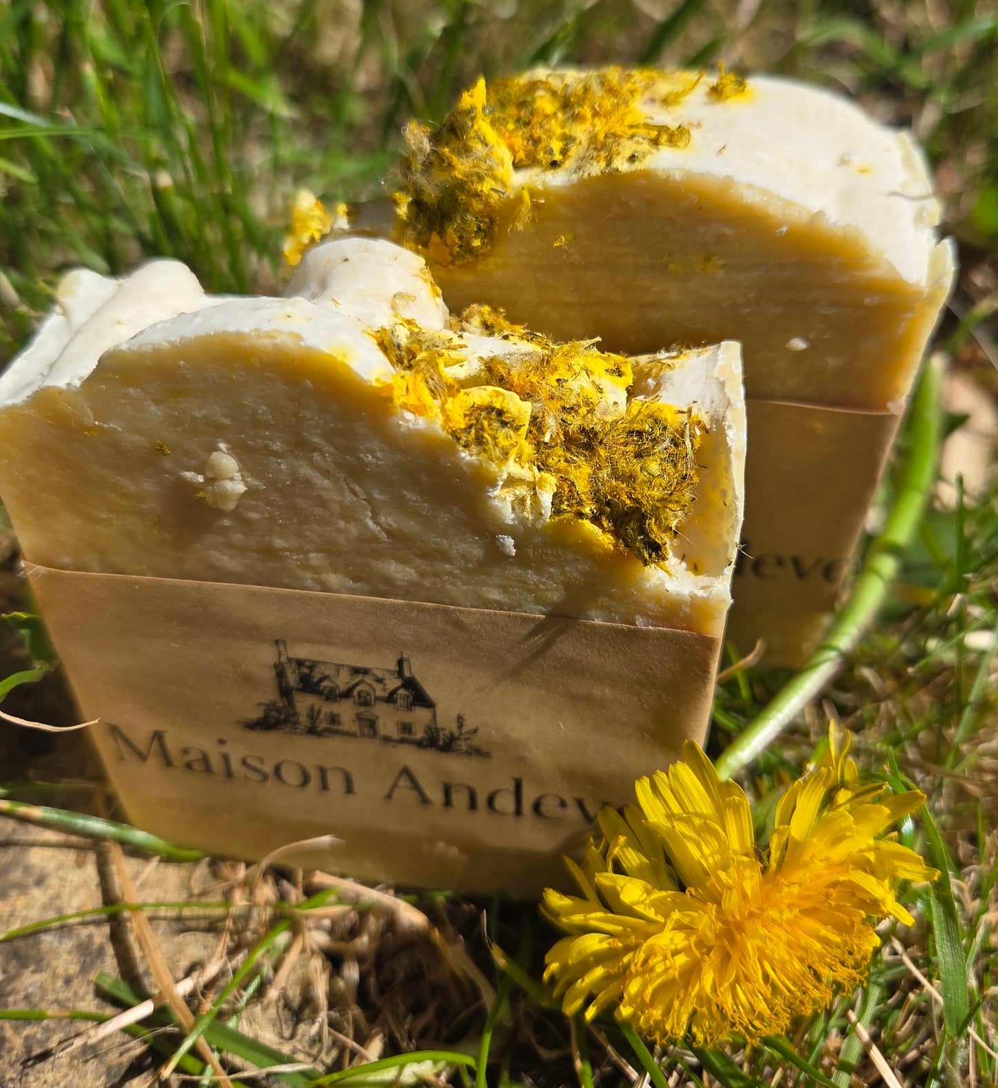Patchouli Salt Elixir Soap Bar – Natural Sea Salt Soap with Dandelion Infusion