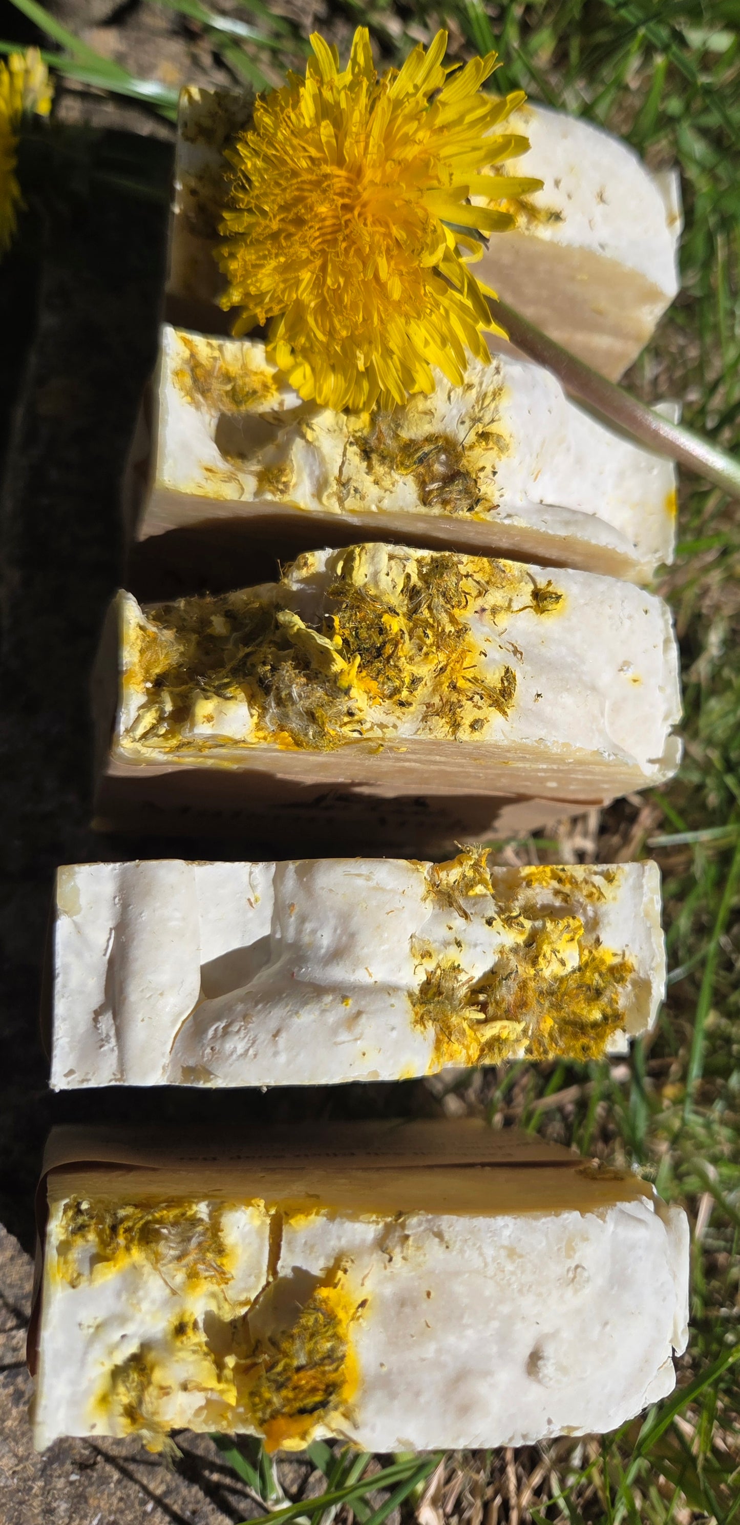 Patchouli Salt Elixir Soap Bar – Natural Sea Salt Soap with Dandelion Infusion