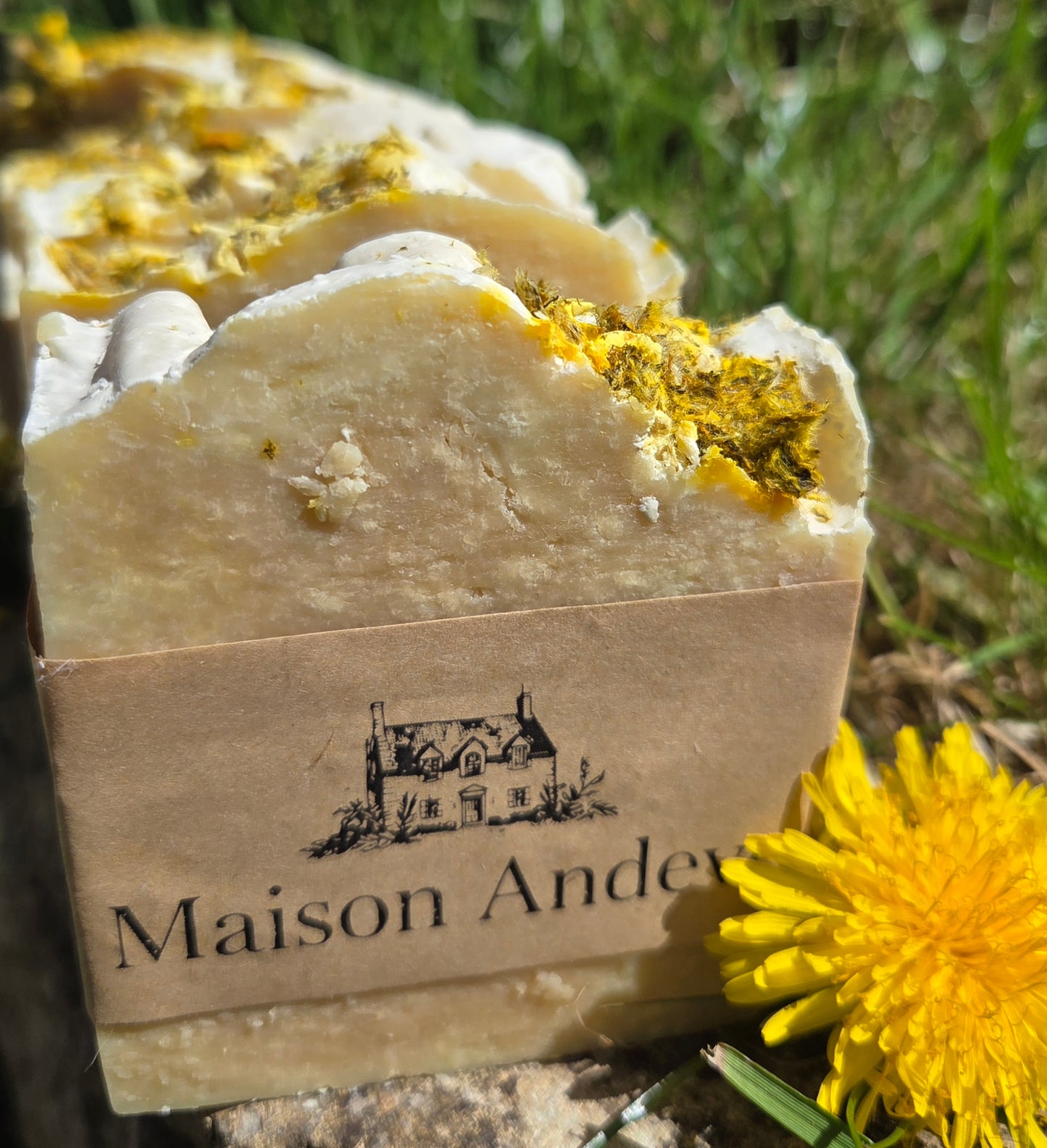 Patchouli Salt Elixir Soap Bar – Natural Sea Salt Soap with Dandelion Infusion