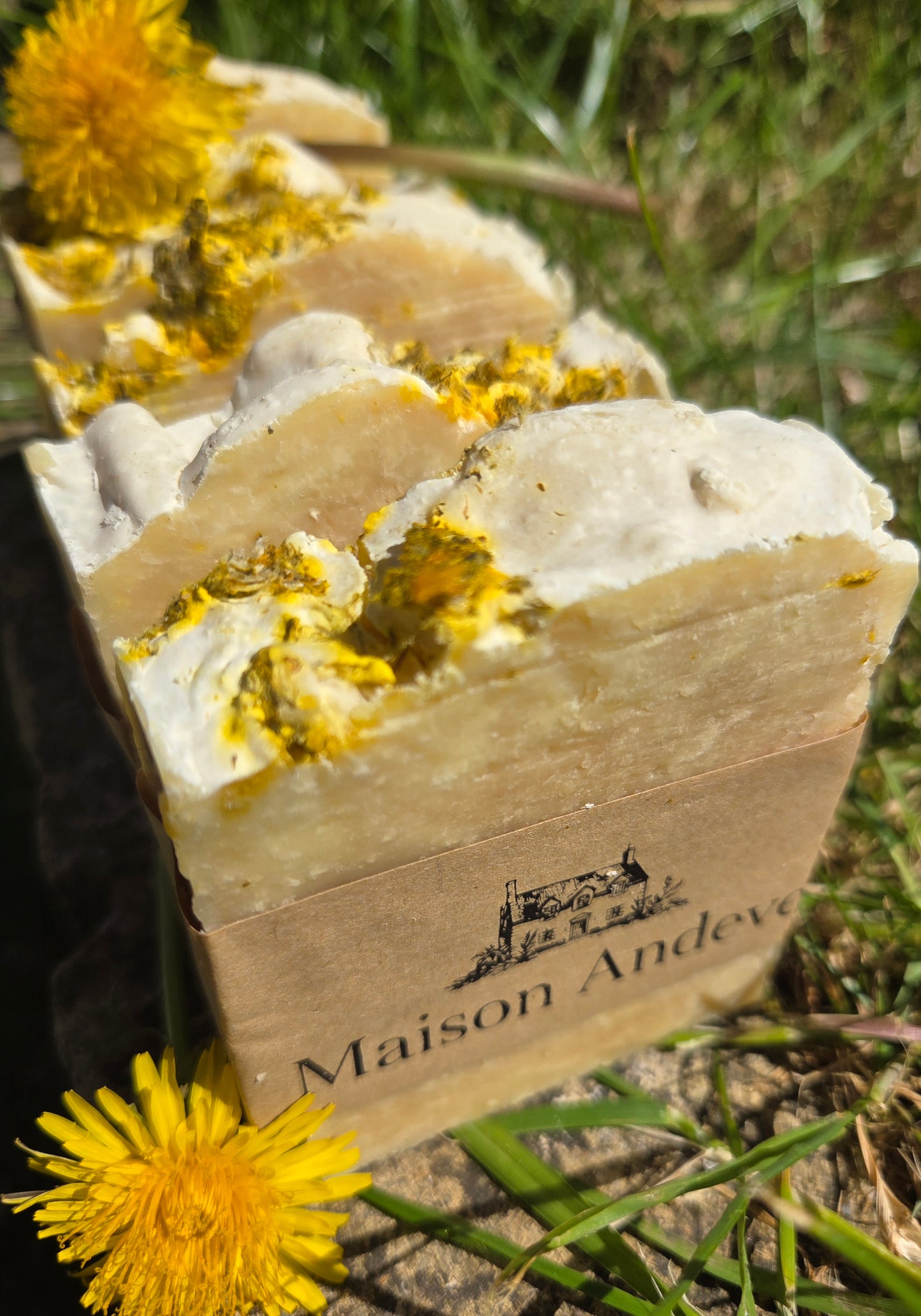Patchouli Salt Elixir Soap Bar – Natural Sea Salt Soap with Dandelion Infusion